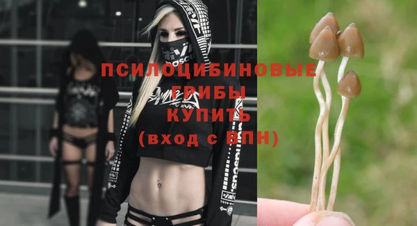 твердый Нея