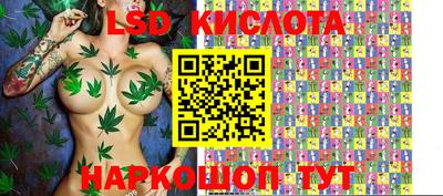эйфоретик Заводоуковск