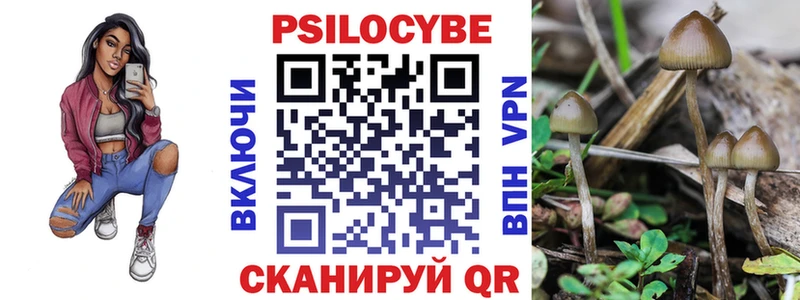 наркошоп  Кизилюрт  Псилоцибиновые грибы мицелий 