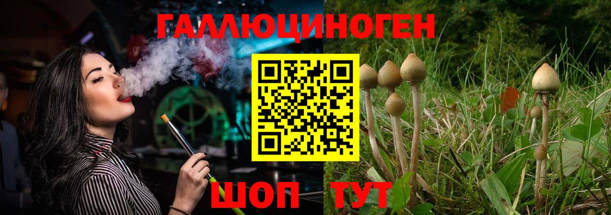 Псилоцибиновые грибы GOLDEN TEACHER  Кизилюрт 